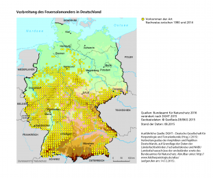 Karte Verbreitung des Feuersalamanders in Deutschland