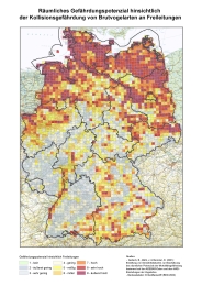 Deutschlandkarte Räumliches Gefährdungspotenzial hinsichtlich der Kollisionsgefährdung von Brutvogelarten an Freileitungen