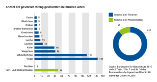 Diagramm Anzahl der gesetzlich streng geschützten heimischen Arten