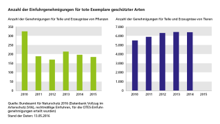 Diagramm: Anzahl der Einfuhrgenehmigungen für tote Exemplare geschützter Arten (I)