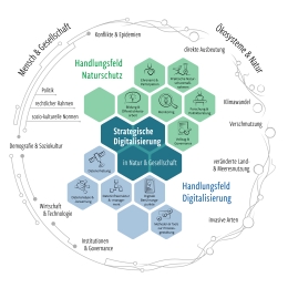 Die konzeptionelle Abbildung zeigt die Handlungsfelder Digitalisierung und Naturschutz. Die digitalstrategisch relevanten Themen des BfN verorten sich dabei stets im Schnittbereich. 