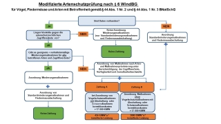 Grafik Modifizierte Artenschutzprüfung nach §6 WindBG 