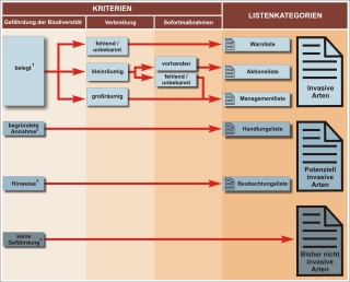 Schema Methodik der naturschutzfachlichen Invasivitätsbewertung für gebietsfremde Arten