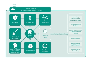 Konzeptgrafik mit Bausteinen zu Zielen der biologischen Vielfalt