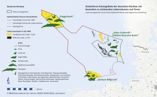 Die Abbildung zeigt die 3 Naturschutzgebiete in der AWZ der Nordsee mit der Verbreitung der Lebensräume „Sandbank“ und „Riff“ sowie mit den dort vorkommenden Arten, die zur Unter-schutzstellung der Gebiete führten