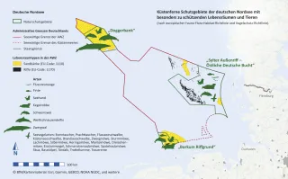 Die Abbildung zeigt die 3 Naturschutzgebiete in der AWZ der Nordsee mit der Verbreitung der Lebensräume „Sandbank“ und „Riff“ sowie den dort vorkommenden Arten, die zur Unterschutzstellung der Gebiete führten 