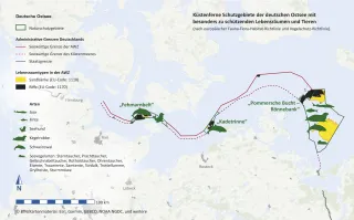 e Abbildung zeigt die 3 Naturschutzgebiete in der AWZ der Ostsee mit der Verbreitung der Lebensräume „Sandbank“ und „Riff“ sowie mit den dort vorkommenden Arten, die zur Unterschutzstellung der Gebiete führten 