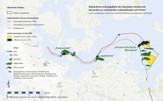 Die Abbildung zeigt die 3 Naturschutzgebiete in der AWZ der Ostsee mit der Verbreitung der Lebensräume „Sandbank“ und „Riff“ sowie mit den dort vorkommenden Arten, die zur Unterschutzstellung der Gebiete führten