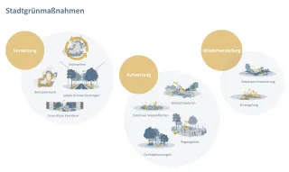 Darstellung der „Vernetzung“ durch Symbolbild für Grünsystem, Biotopverbund, lokale Grünverbindungen und Grün-blaue Korridore; Darstellung der „Aufwertung“ durch Symbolbild für Biotopstrukturen, Extensive Wiesenflächen, Regengärten und Gehölzpflanzungen und die Darstellung der „Wiederherstellung“ durch Symbolbild für Gewässerrenaturierung und Entsiegelung als „Stadtgrünmaßnahmen“.