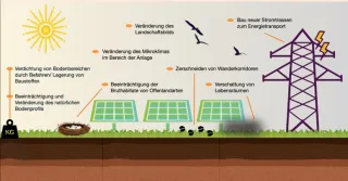 Beispielhafte Darstellung möglicher Auswirkungen von Photovoltaik-Freiflächenanlagen. Möglich sind: Verdichtung von Bodenbereichen durch Befahren / Lagerung, Beeinträchtigung des Bodenprofils, Beeinträchtigung der Bruthabitat von Offenlandvogelarten, Veränderungen des Mikroklimas im Bereich der Anlage, Veränderung des Landschaftsbilds, Zerschneidung von Wanderkorridoren, Verschattung von Lebensräumen, Bau neuer Stromtrassen zum Energietransport.