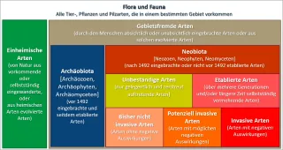 Diagramm mit Aufteilung der Arten in einheimische Arten sowie gebietsfremde Arten mit Archäobiota und Neobiota mit etablierten und unbeständigen Arten mit bisher nicht invasiven, potenziell invasiven und invasiven Arten
