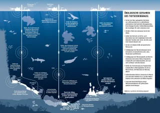 Auf dem Bild sind die ökologischen Gefahren des Tiefseebergbaus grafisch dargestellt.