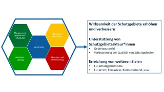 Darstellung der 5 Handlungsfelder Aktionsplan Schutzgebiete