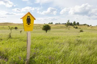 Graslandschaft als Naturschutzgebiet