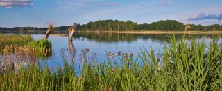 Naturparadies Stuerscher See bei Stuer