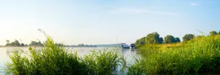 Elbe bank near Magdeburg in the district of Westerhüsen