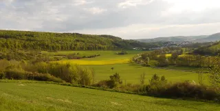 Landschaft mit Feldern und Wald