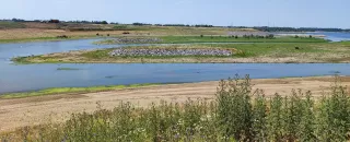 Der Fluss Emscher mit neu angelegten Strukturelementen (Copyright: Robin Schütz)