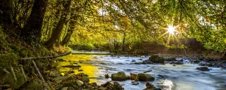 Flusslandschaft