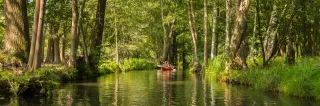 Kajakfahrt auf einem Kanal im Spreewald