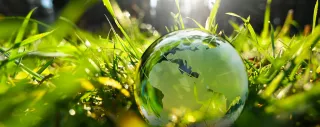 Globe on meadow