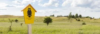 Graslandschaft als Naturschutzgebiet