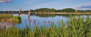 Stuerscher See Nature Paradise near Stuer