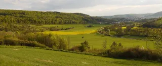 Landschaft mit Feldern und Wald