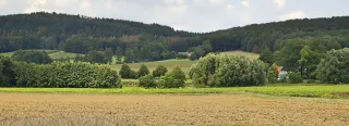 Wiehengebirge im Sommer