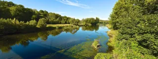 Fluss im Wald