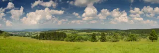 Landschaft mit Wiese und Wald