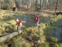 Spielende Kinder balancieren auf liegendem Buchenstamm im Hünxer Bachtal