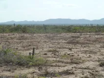 Wüstenbildung in einer von Dürre geprägten Landschaft im Norden Kolumbiens.