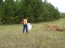Kartierende mit Kescher, die entlang einer gedachten Linie im Gelände Tagfalter erfassen