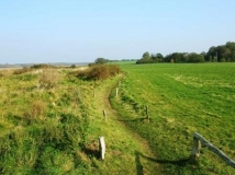 Das Foto zeigt ein artenreiches Grünland, Feldgehölze sowie einen schmalen Pfad der zum Wandern und erleben einlädt.