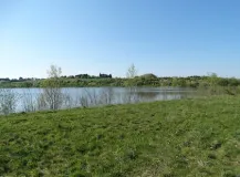 Das Foto zeigt einen Ausschnitt eines nicht mehr bergbaulich genutzten Absinkweihers des saarländischen Steinkohlebergbaus. Der Weiher ist mit einer lichten Gehölzkulisse umgeben. Im Vordergrund befindet sich ein als Weidefläche genutzter Grünlandbereich.