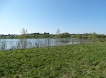 Das Foto zeigt einen Ausschnitt eines nicht mehr bergbaulich genutzten Absinkweihers des saarländischen Steinkohlebergbaus. Der Weiher ist mit einer lichten Gehölzkulisse umgeben. Im Vordergrund befindet sich ein als Weidefläche genutzter Grünlandbereich.