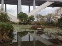 Gewässer und Bäume in Innenstadtnähe am Fuße einer Brücke
