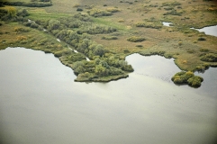 Luftaufnahme Ufer am Dümmer See