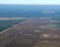 Luftaufnahme Blick über das Truppenübungsgelände auf einen Teil der großen Heide nördlich von Unterlüß