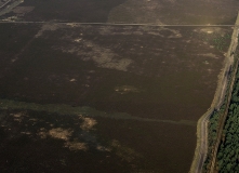 Luftaufnahme Blick über das Truppenübungsgelände auf einen Teil der großen Heide nördlich von Unterlüß
