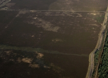 Luftaufnahme Blick über das Truppenübungsgelände auf einen Teil der großen Heide nördlich von Unterlüß