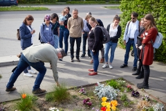 Personen an einem bepflanzten Beet bei der Veranstaltung Stadtnatur wirkt