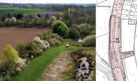 Die Abbildung zeigt einen Untersuchungsstandort in einem Schutzgebiet mit Problemfeldern im Einfluss angrenzender Landnutzung.