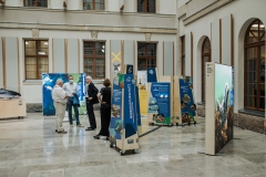 Wanderausstellung mit verschiedenen Stellwänden und Besucher*innen