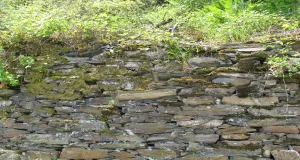 Trockenmauer Mittelrhein