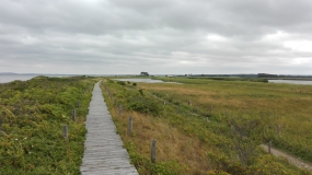 Zu sehen ist eine Küstenlandschaft mit natürlichem Strandwall bei Hohenwacht