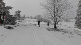 An einem grauen und verschneiten Wintertag sind zwei Langläufer unterwegs.