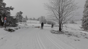 An einem grauen und verschneiten Wintertag sind zwei Langläufer unterwegs.