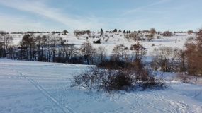 Winterliche Stimmung auf einem halboffenen Hochplateau in der Rhön.